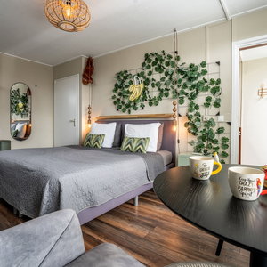 Hotel The Lion King cazare Groningen