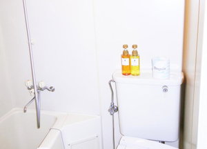 Hotel Flexstay Inn Tokiwadai cazare Tokyo