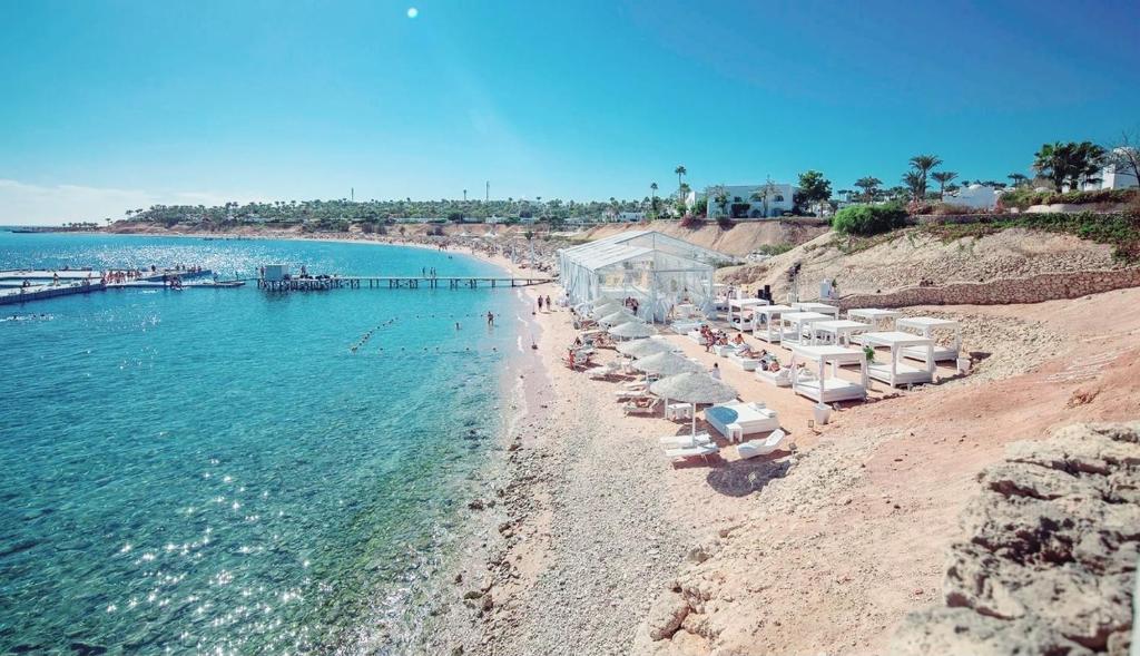 dal travel Domina Coral Bay Sultan