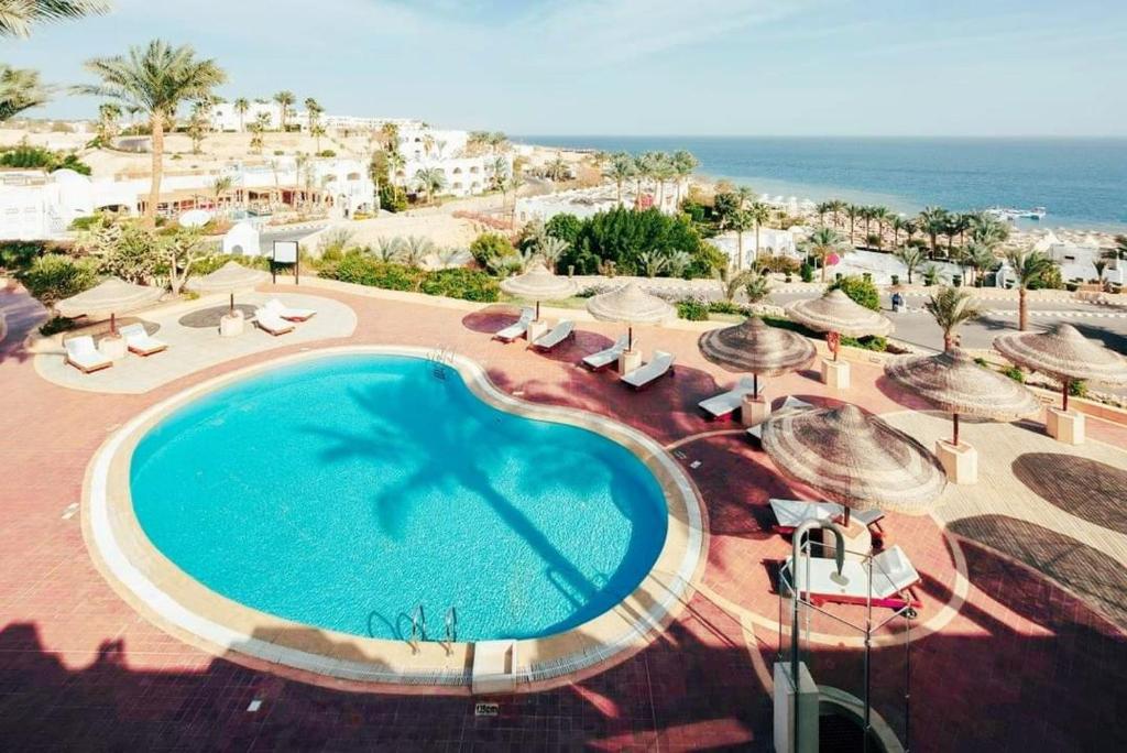 dal travel Domina Coral Bay Sultan