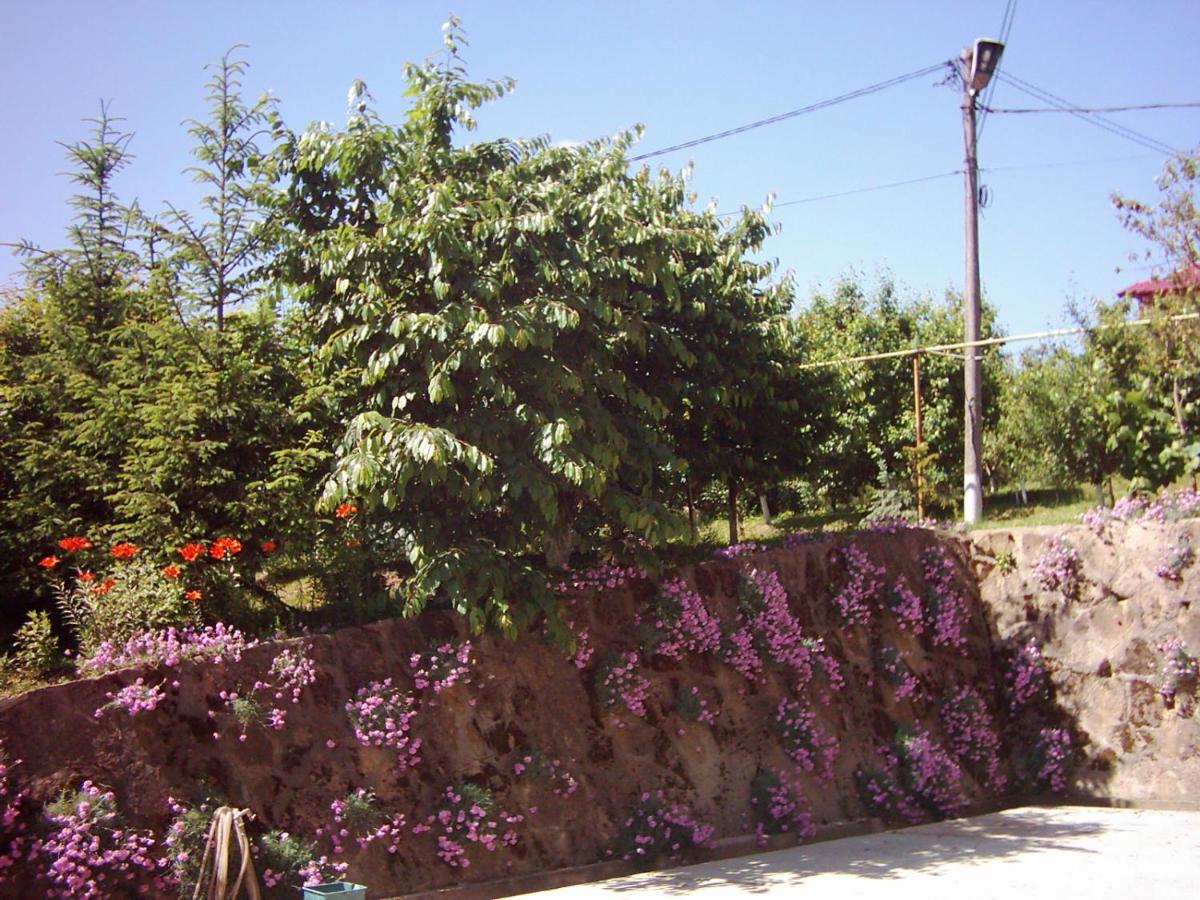 Pension Garofita