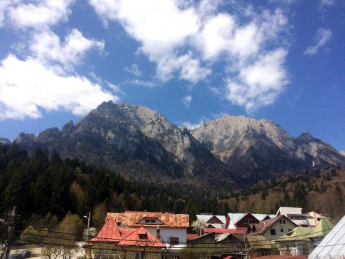 Pension Dandd