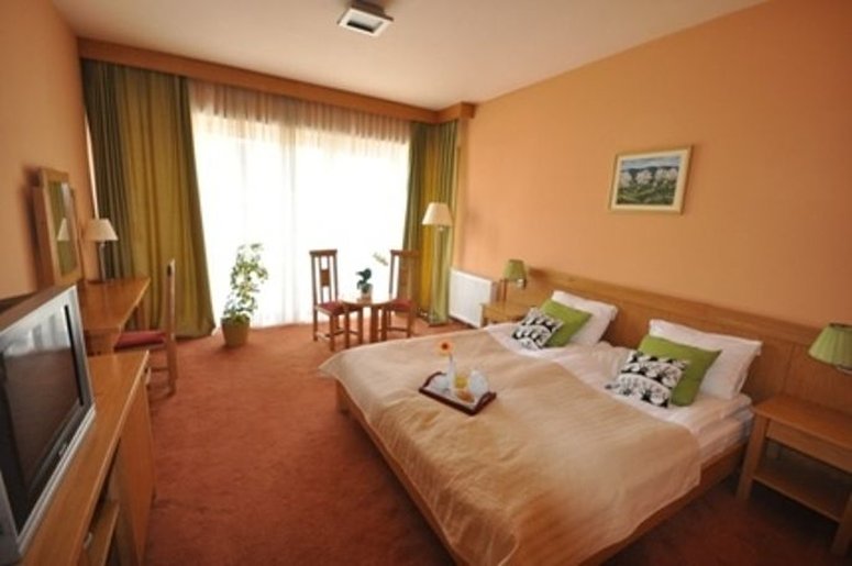 Hotel - Restaurant Gonduzo