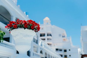 Hotel The Suites At The Mirage cazare Los Cristianos
