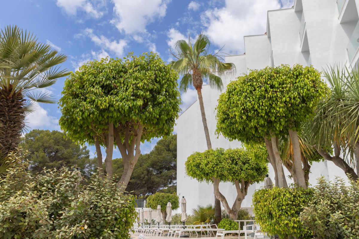dal travel Whala Isabela -Only Adult-