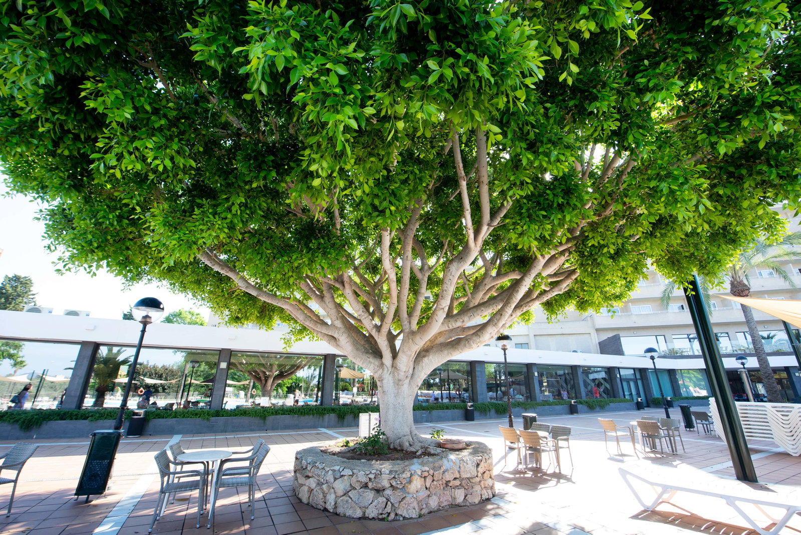 dal travel Club Cala Romani Hotel