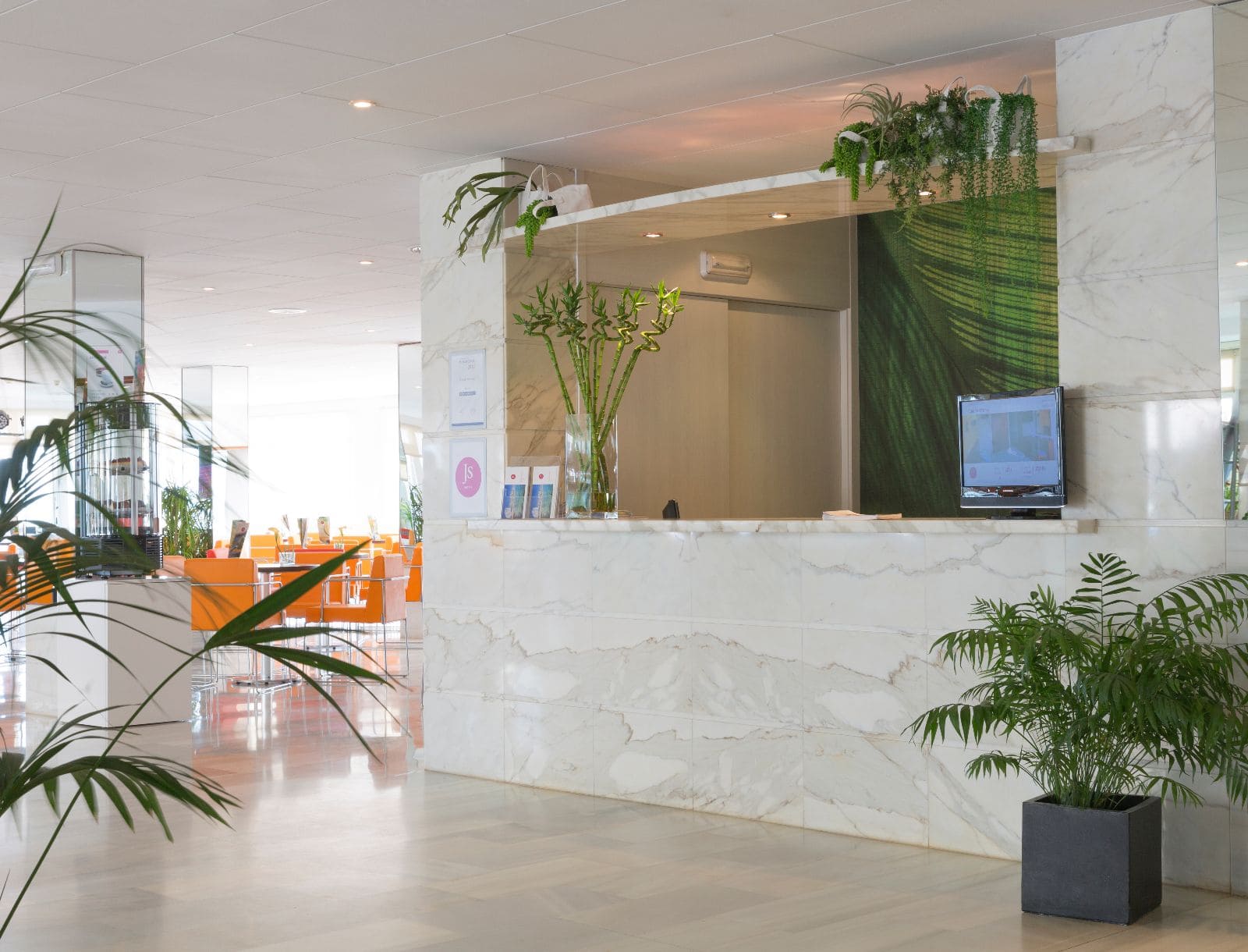 dal travel Js Miramar
