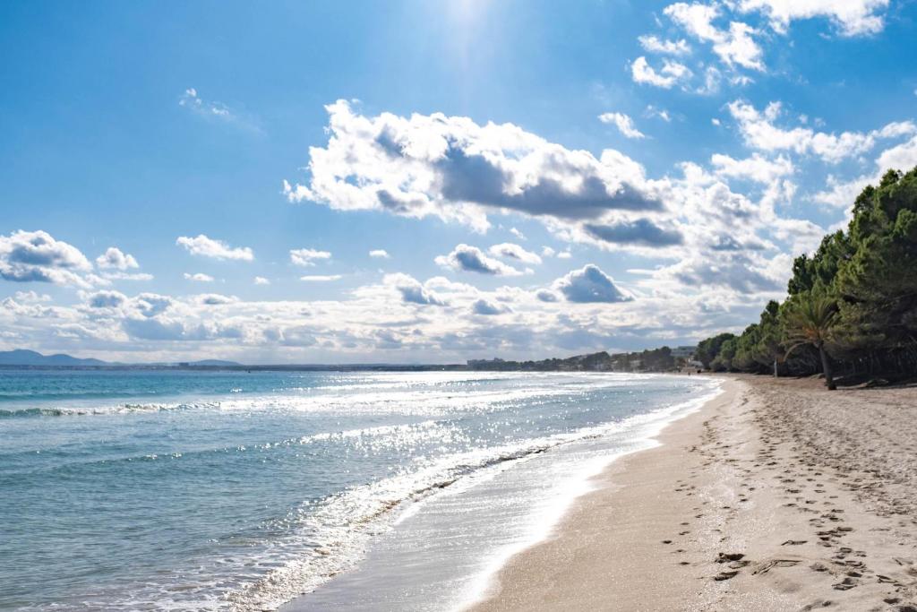 dal travel Eix Platja Daurada