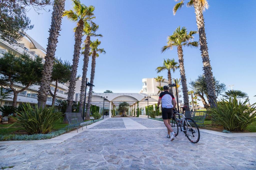 dal travel Eix Platja Daurada