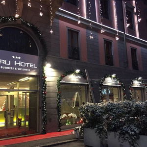 Hotel Arli Hotel Business And Wellness cazare Bergamo