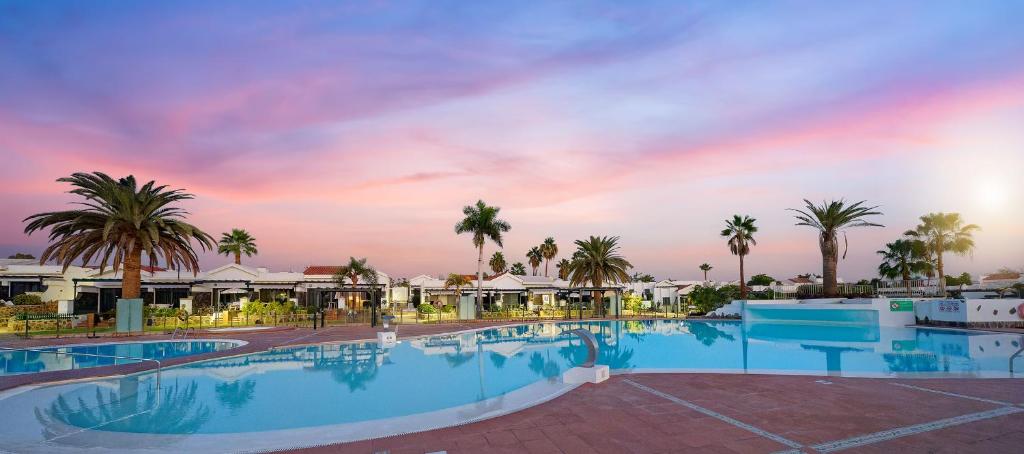 Maspalomas Lago