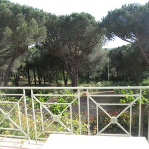 Hotel Chambres D'hotes Les Amandiers cazare Saint-Tropez