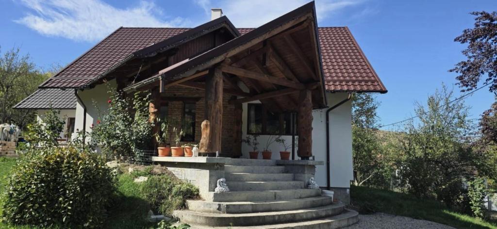 Hotel Rustic Dreams-Dobolii de Sus