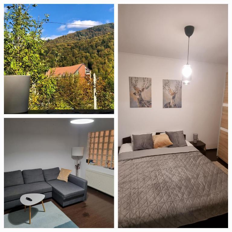 Mountain Nest Sinaia