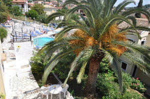 Hotel Sunflower Apartments cazare Kassiopi