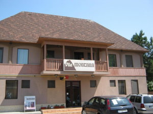 Hotel Vila Montana cazare Constanta