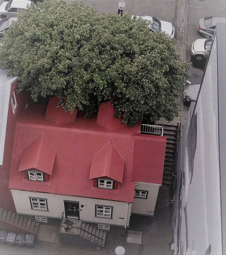 Hotel Grettir Guesthouse