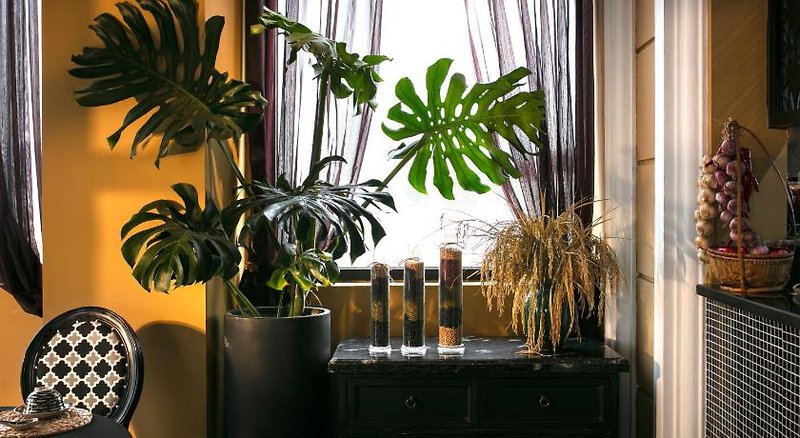 Jm Marvel Hotel Hanoi