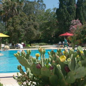Sejur Regency Beach Hotel vacanta Hammamet