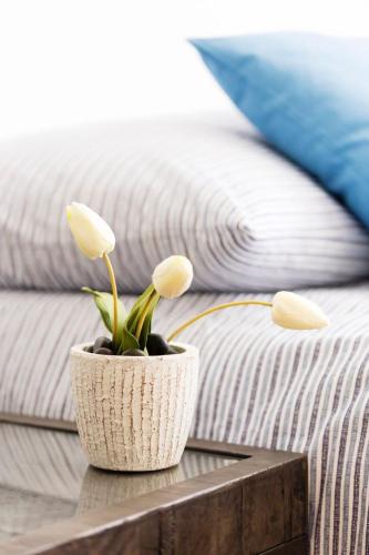 Hotel Bandb River Inn