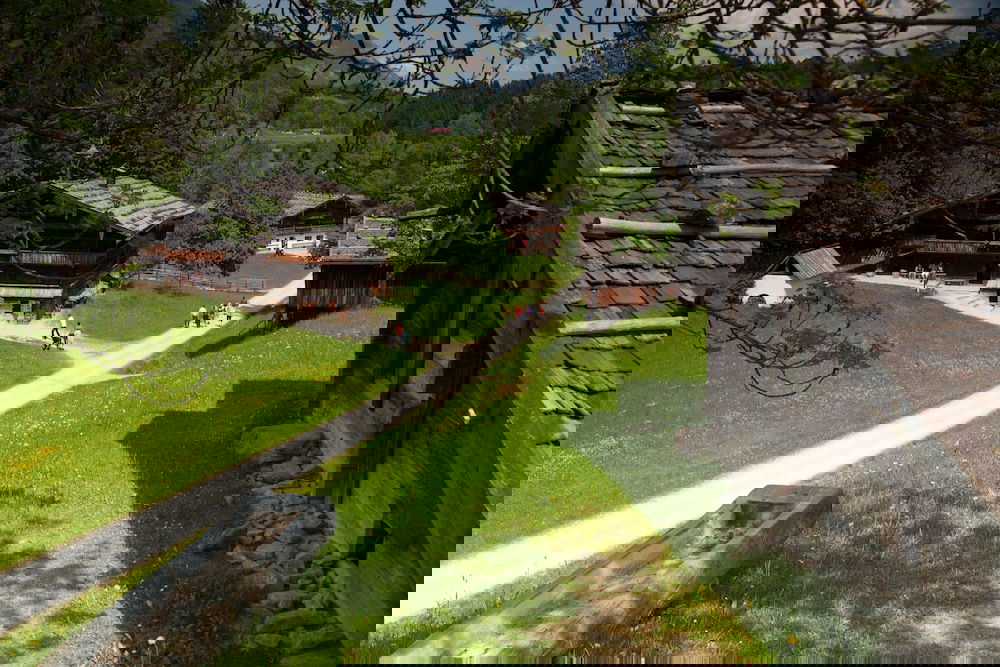 Hotel Pension Bergwald