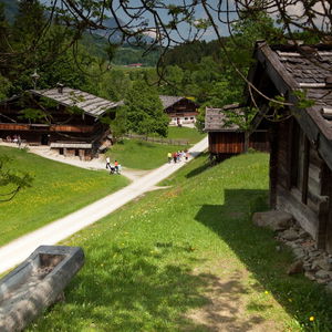 Hotel Pension Bergwald cazare Alpbach