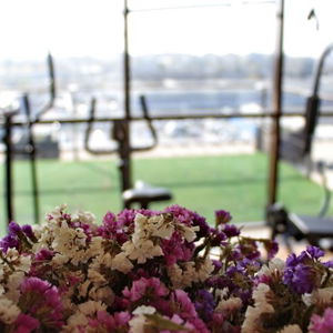 Hotel Angelis cazare Timisoara