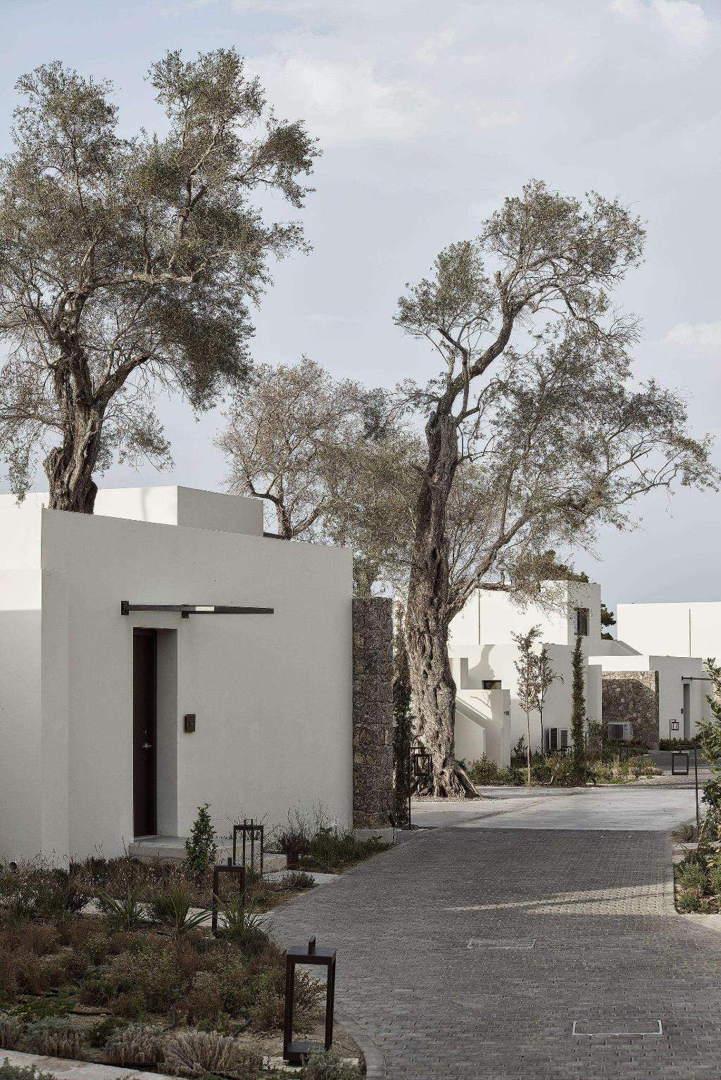 dal travel The Olivar Suites