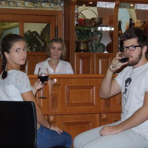 Hotel Apartman Hotel Sarvar cazare Sarvar