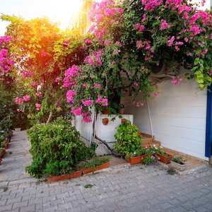 Hotel Kaya Apart Datca cazare Datca