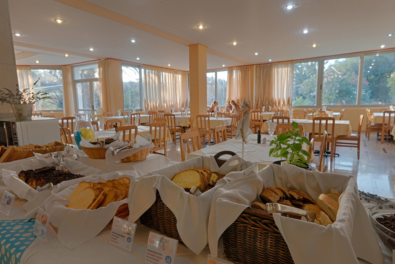 Livadi Nafsika Hotel