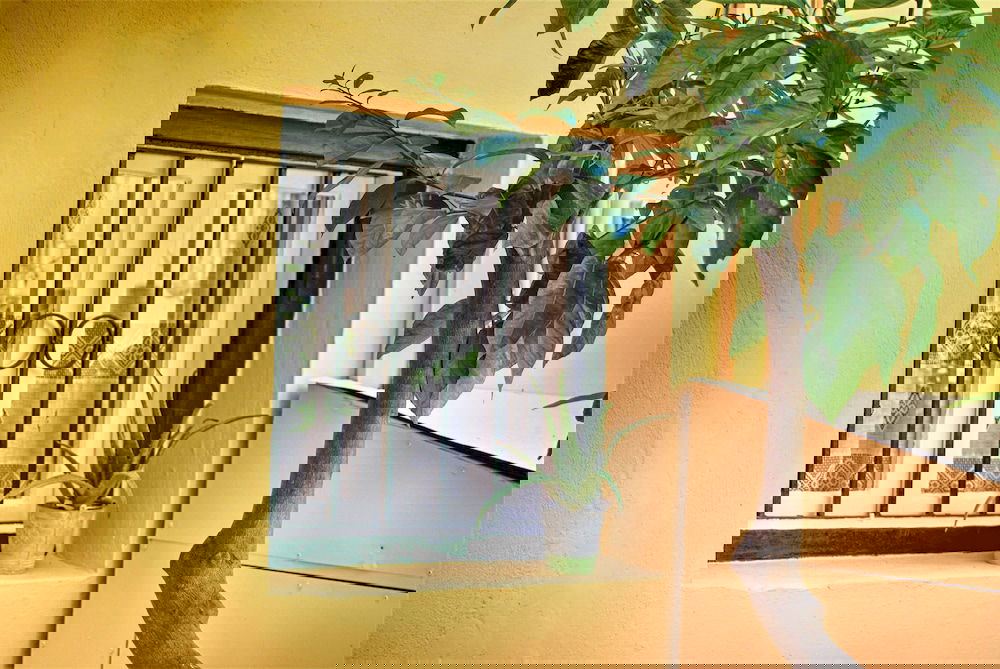 Hotel Old Town Venetian Studio