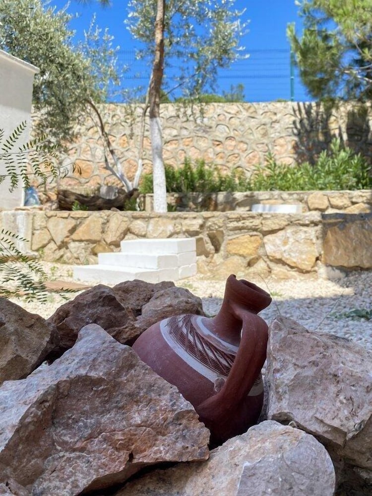 Hotel Minerva Port Hotel