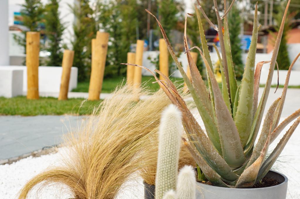 Hotel Olive Grove Suites Boutique Hotel