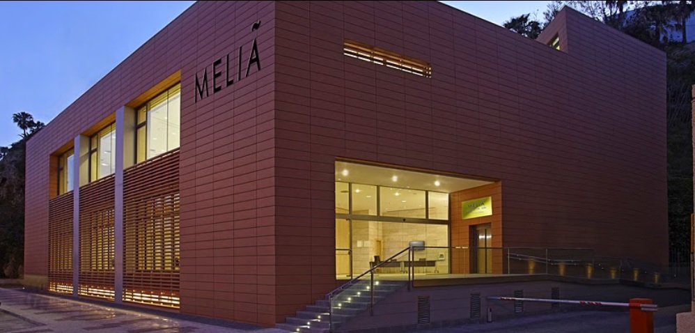 Hotel Melia Costa Del Sol