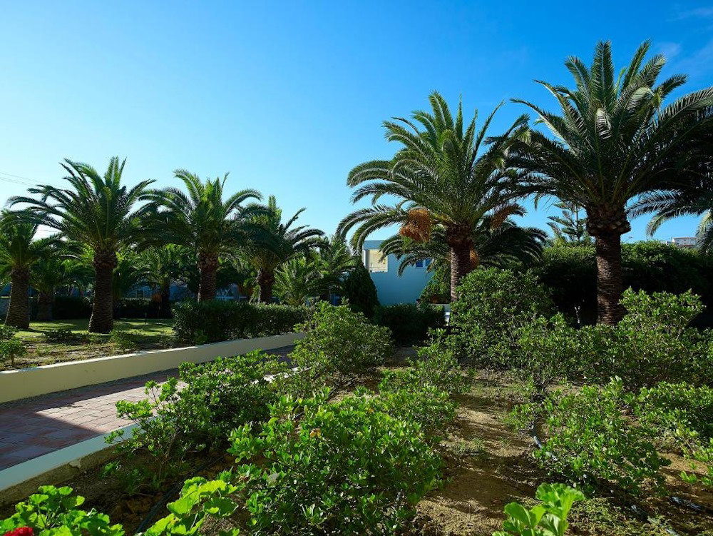 dal travel Eleftheria Hotel