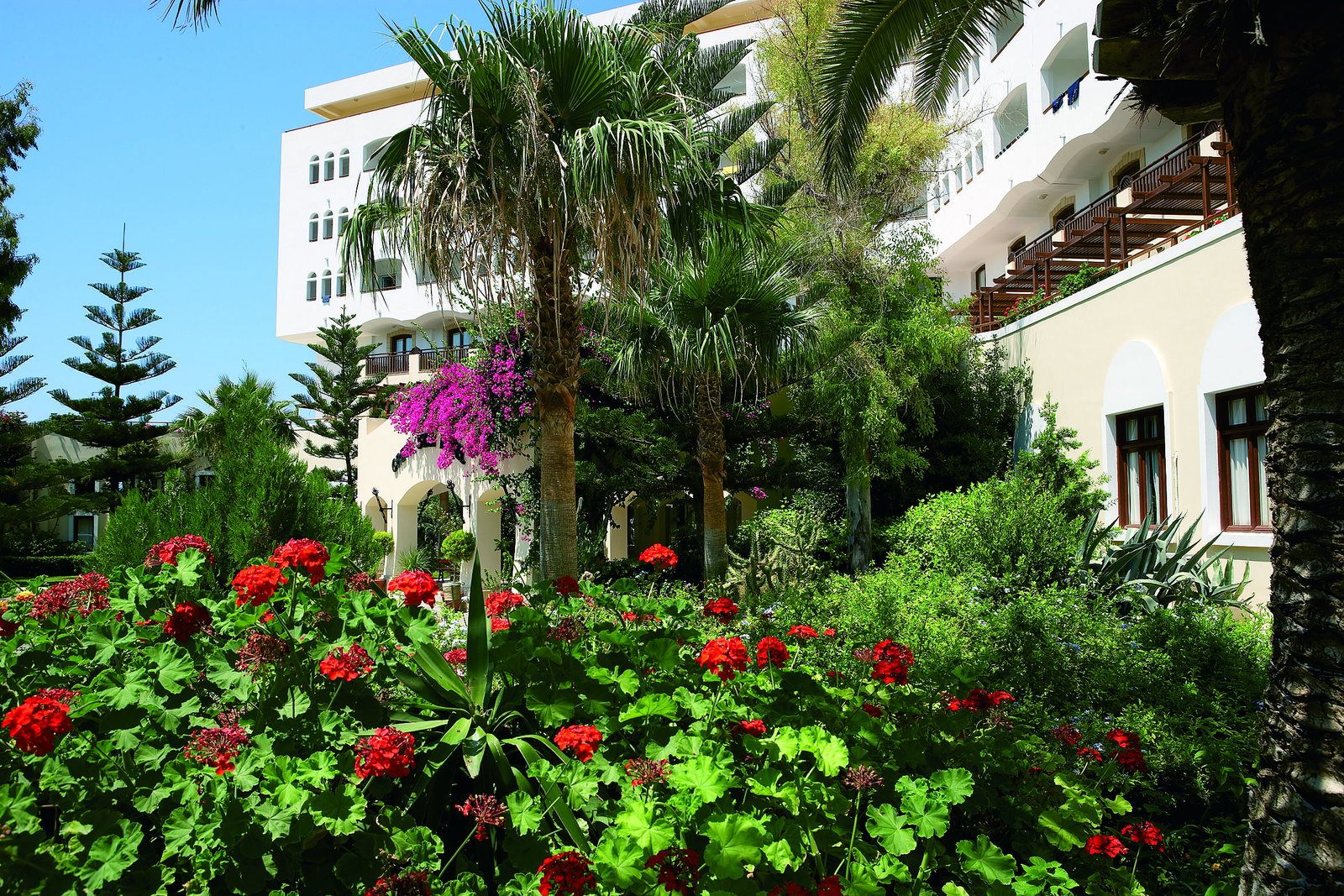 dal travel Creta Star Hotel