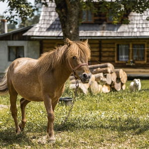 Hotel Dw Maria 2 Zakopane cazare Zakopane