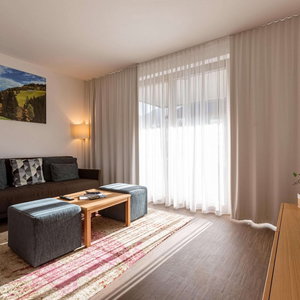 Hotel Apartment With Balcony Or Terrace cazare Schladming