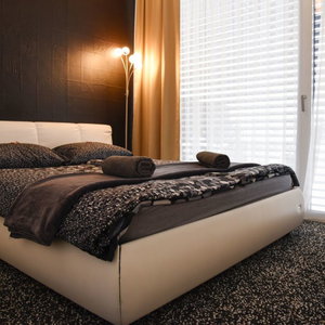 Hotel Apartments Villa Popp cazare Ljubljana