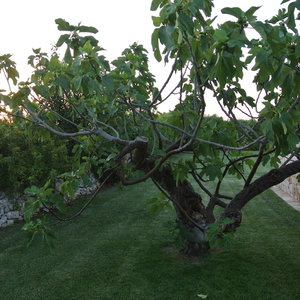 Hotel Trulli Paparale cazare Alberobello