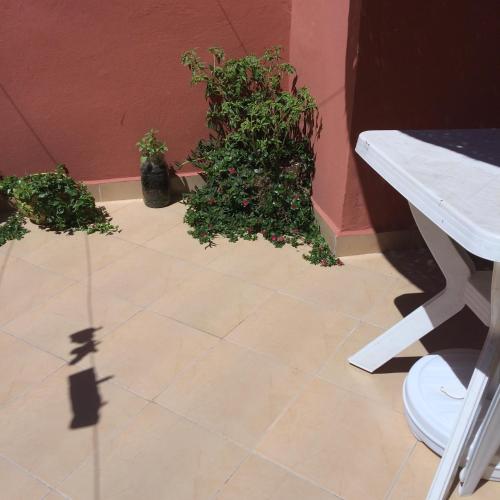 Hotel Chez Ali Apartments