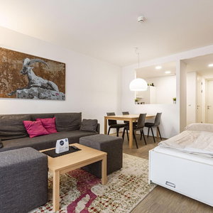 Hotel Apartment Near Ski Slope cazare Schladming