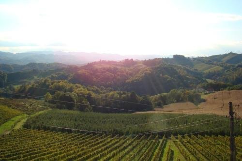 Hotel Farm Stay Jarc Vineyard