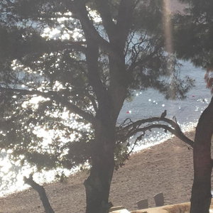 Hotel Beach Apartments Ankora cazare Makarska