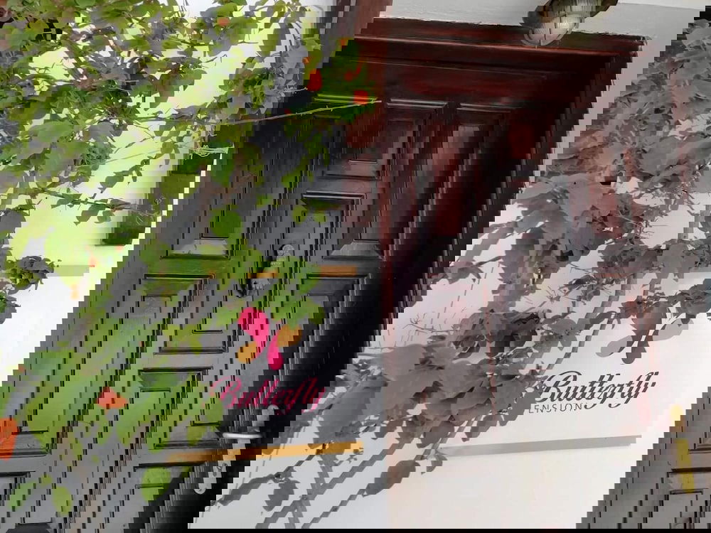 Hotel Pension Butterfly