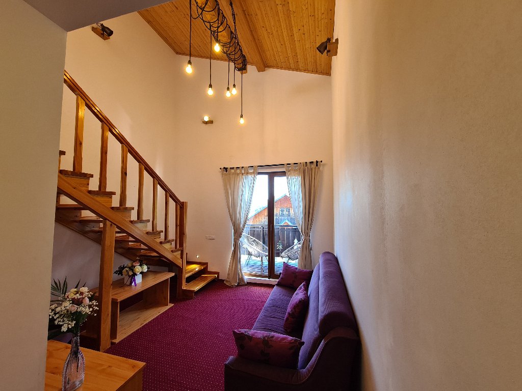 Casa Florescu 3*, Busteni