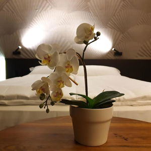 Hotel San Carlo Suite cazare Lugano