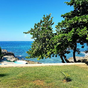 Hotel The Westender Inn cazare Negril