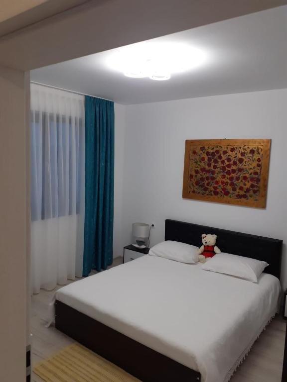 Transalpina Residence 16